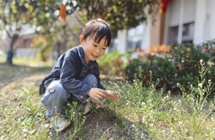 华星幼儿园：寻找小草 拥抱春天