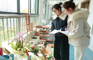 华庄中心幼儿园：方寸之间  窥见本质